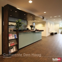luiten-gemeente-den-haag-stadsdk-1