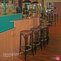 luiten-levoplant-3