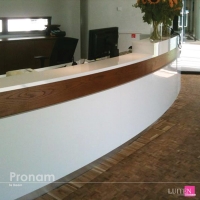 luiten-pronam-b-1