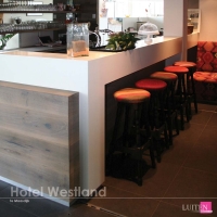 luiten-hotel-westland-4