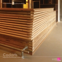 luiten-codarts2