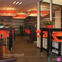 luiten-globeplant-10