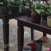 luiten-opti-flor-10
