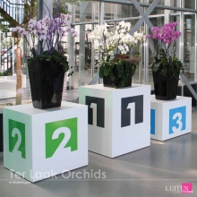 Tuinders en Kwekerijen