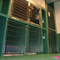 luiten-veterinair-centrum-9